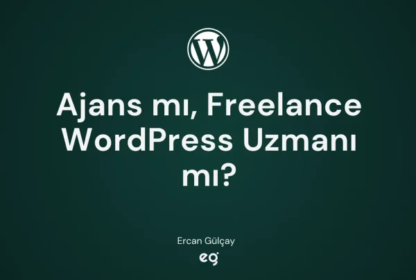 WordPress ajans mı freelance wordpress uzmanı mı karşılaştırması kapak görseli