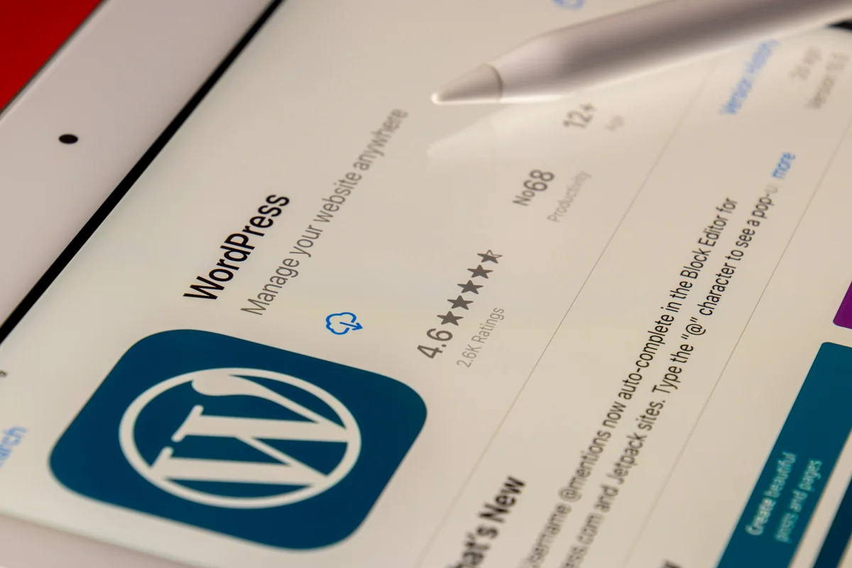 WordPress bakım hizmeti kontrol listesi ve analiz dokümanı