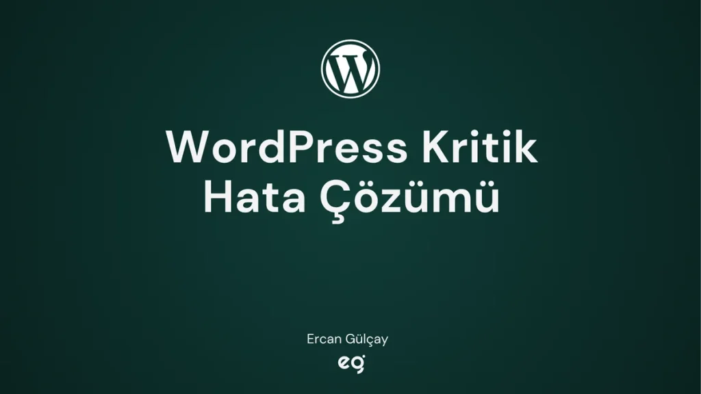 WordPress sitede kritik bir hata oluştu çözümü kapak görseli