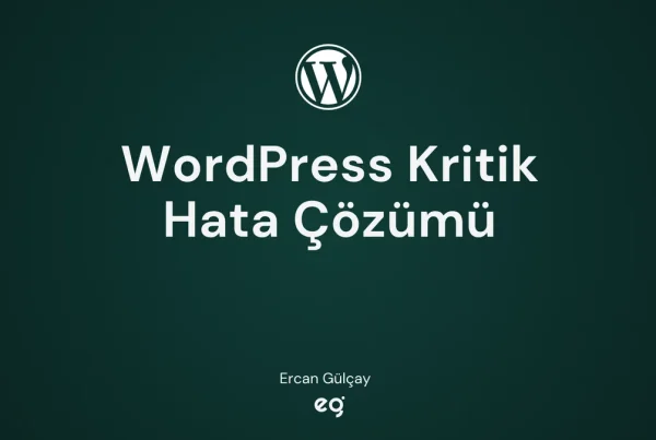 WordPress sitede kritik bir hata oluştu çözümü kapak görseli