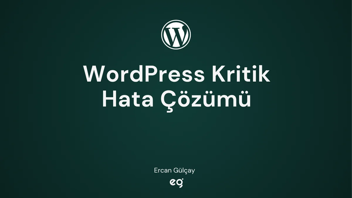 WordPress sitede kritik bir hata oluştu çözümü kapak görseli